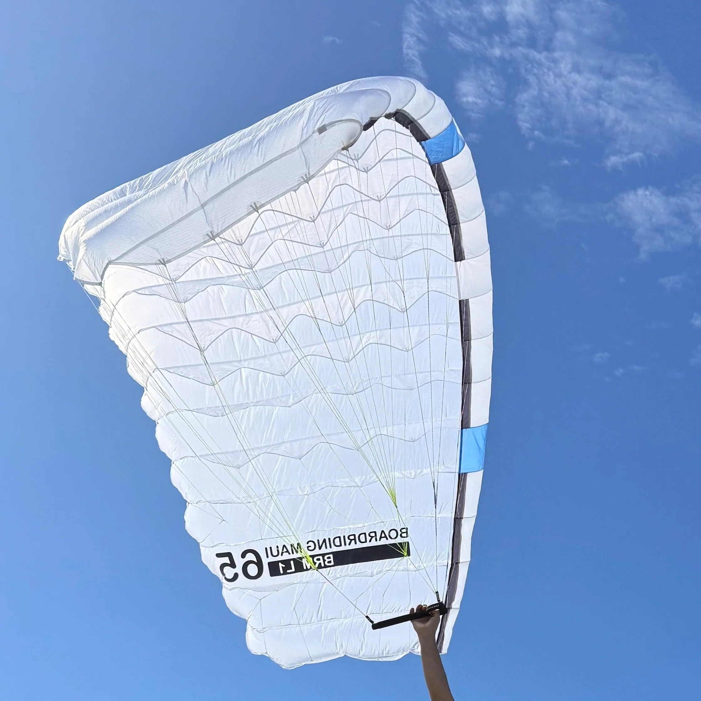 L1 Single Skin Parawing
